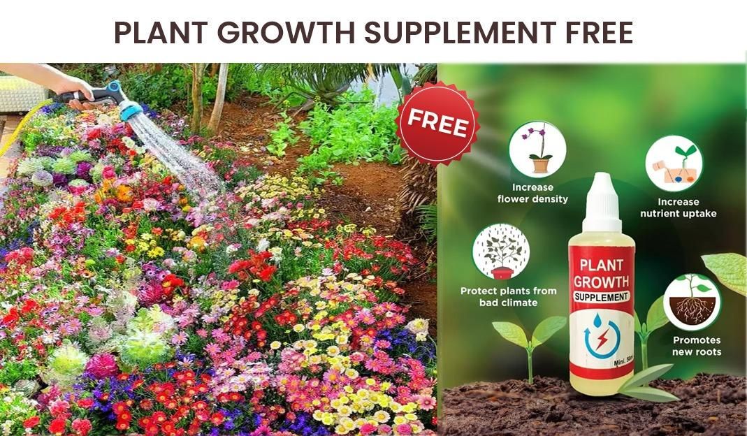 "Bloom & Grow Flower Seed Pack (100 Seeds) with Free Growth Supplement"