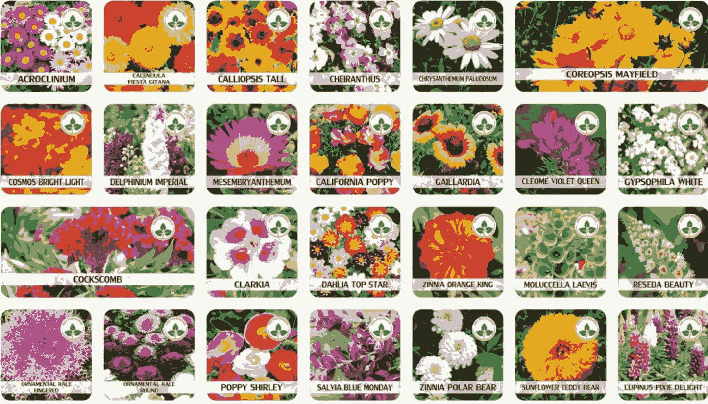 "Bloom & Grow Flower Seed Pack (100 Seeds) with Free Growth Supplement"